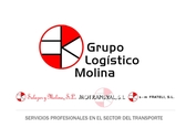 Logo Grupo Logistico Molina