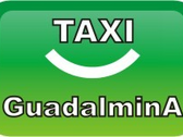 Auto Taxi Guadalmina