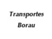 Transportes Borau