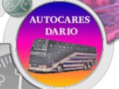 Autocares Dario